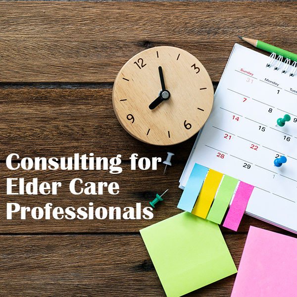 consulting for elder care professionals