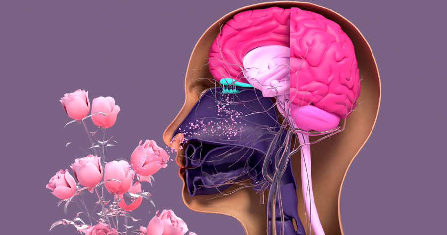 sensory activities